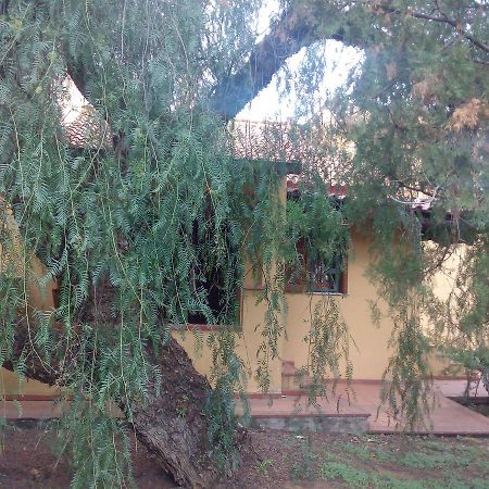 B&B Eleonora Palermo Luaran gambar